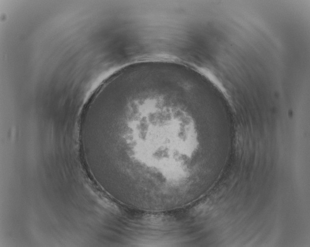 X0000088391364200706121159