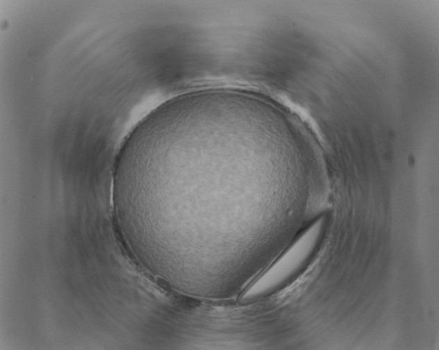 X0000088391365200706121159