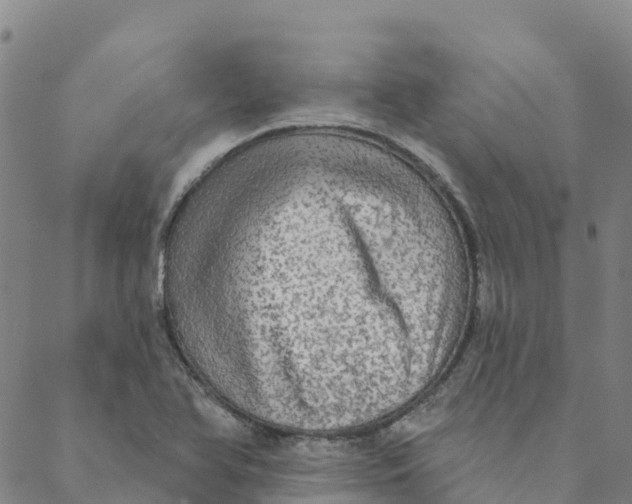 X0000088391366200706121159