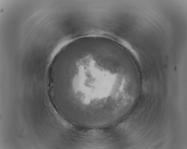 X0000088391368200706121159