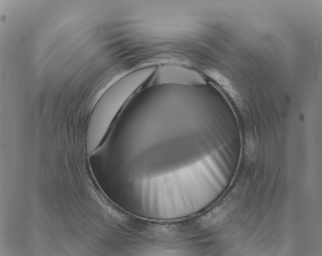 X0000088391369200706121159