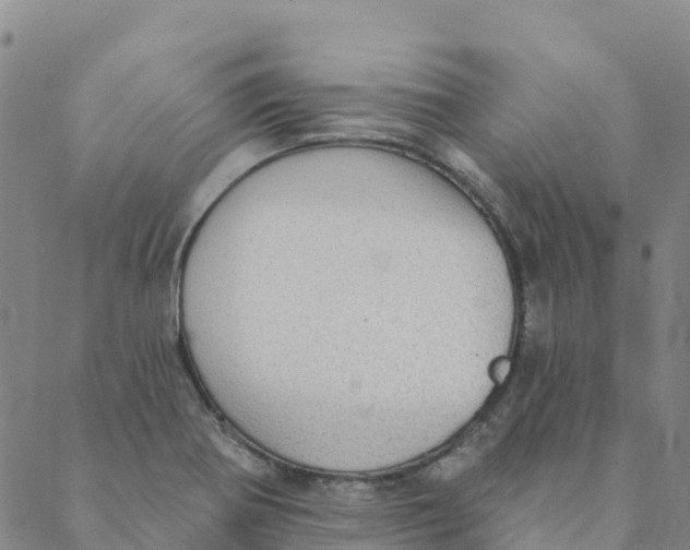 X0000088391370200706121159