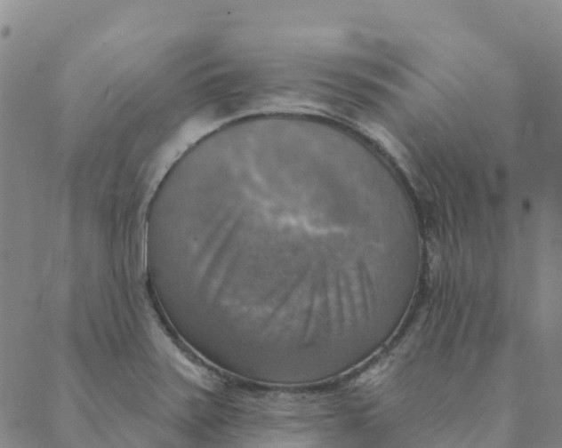 X0000088391371200706121159