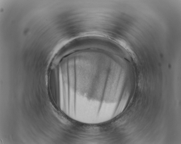 X0000088391372200706121159