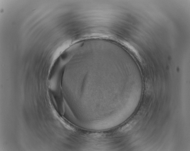 X0000088391373200706121159