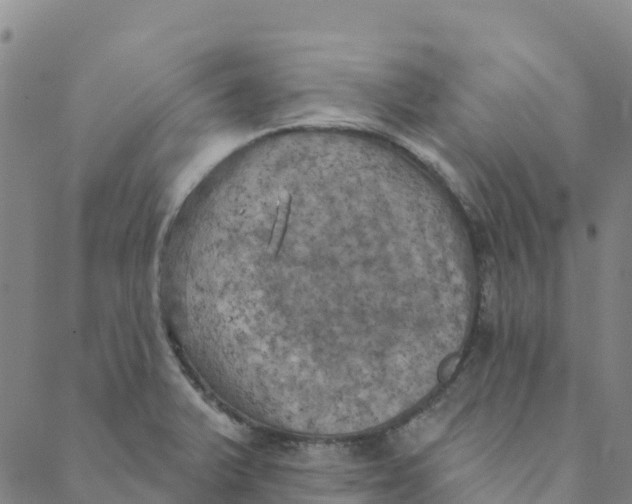 X0000088391375200706121159