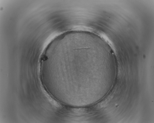 X0000088391376200706121159