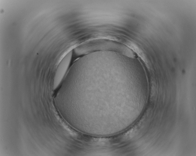 X0000088391377200706121159