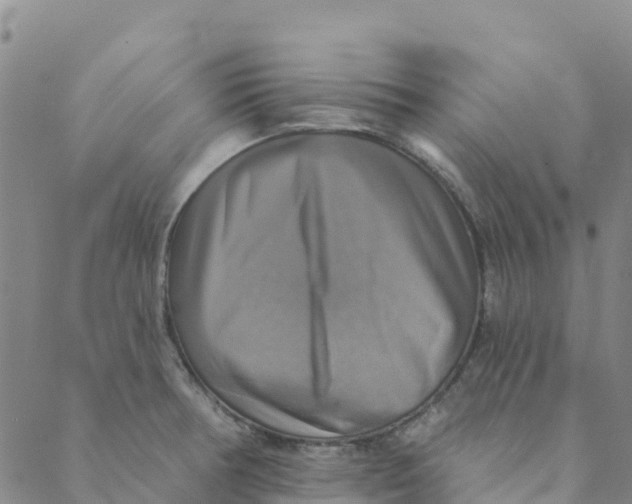 X0000088391378200706121159