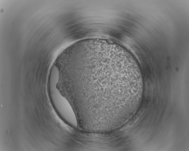 X0000088391379200706121159