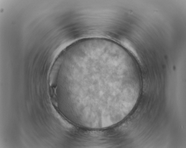 X0000088391380200706121159