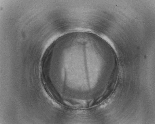 X0000088391381200706121159