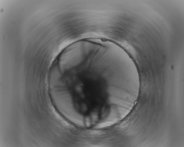 X0000088391382200706121159