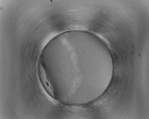 X0000088391383200706121159