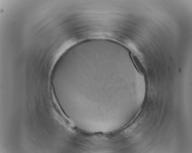 X0000088391384200706121159