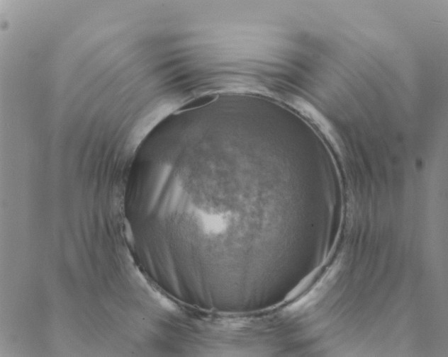 X0000088391385200706121159