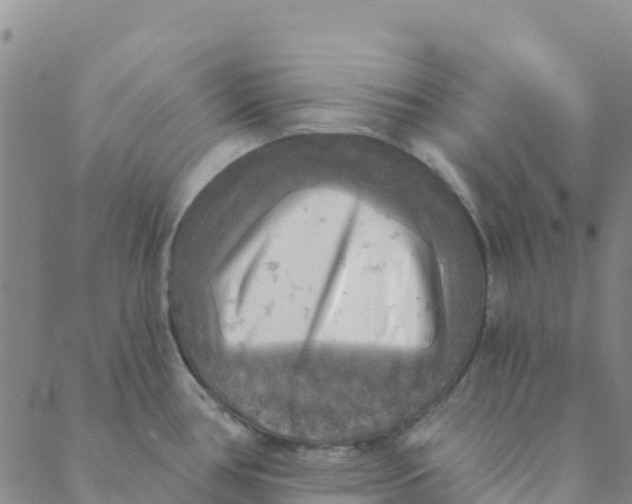 X0000088391386200706121159