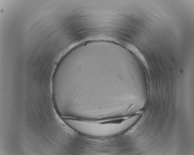 X0000088391388200706121159