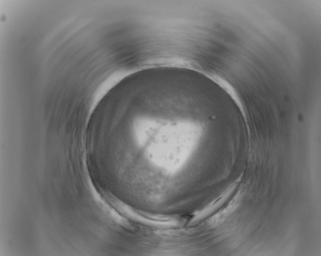 X0000088391389200706121159