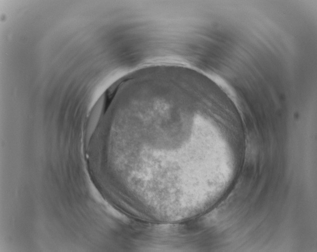 X0000088391390200706121159