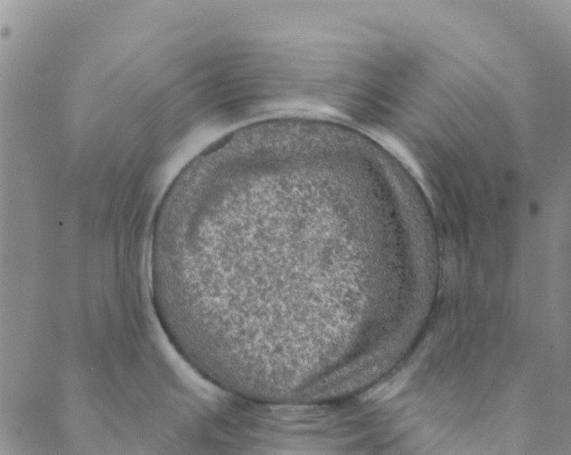 X0000088391391200706121159