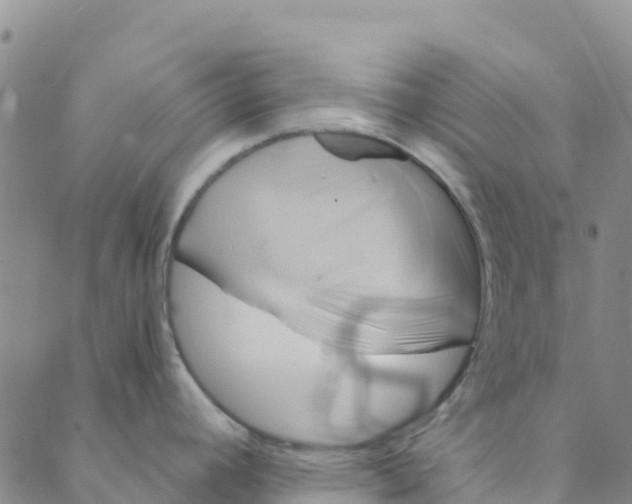 X0000088391392200706121159