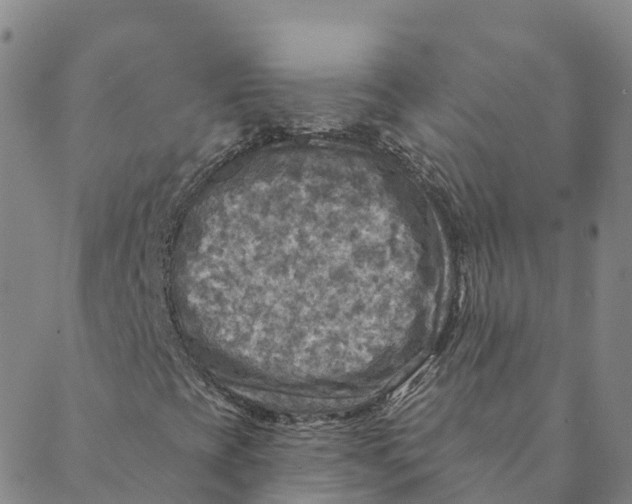 X0000088391393200706121158