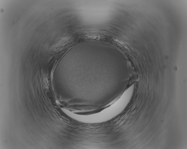 X0000088391394200706121158