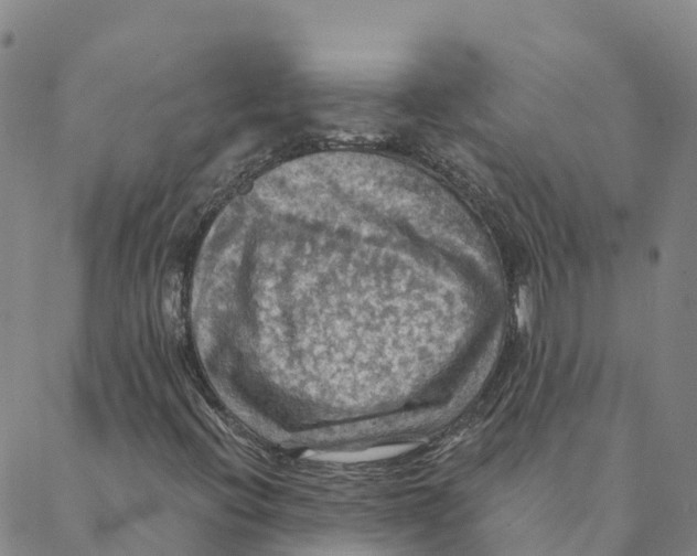 X0000088391396200706121158