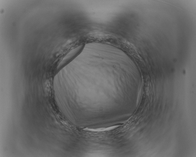 X0000088391397200706121158