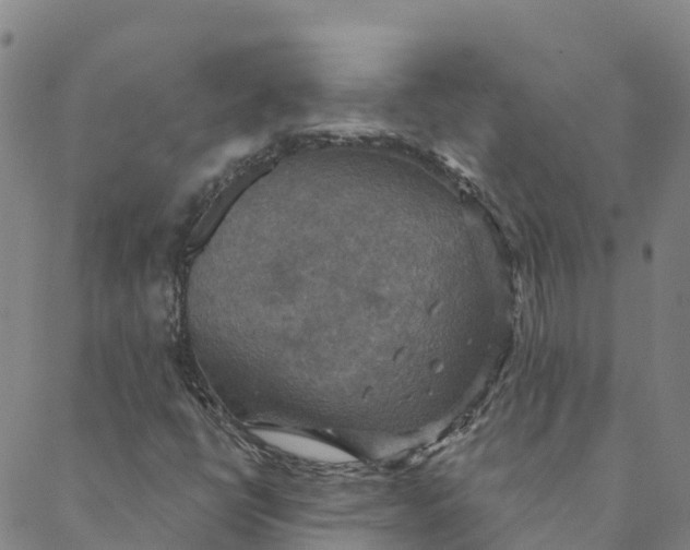 X0000088391398200706121158