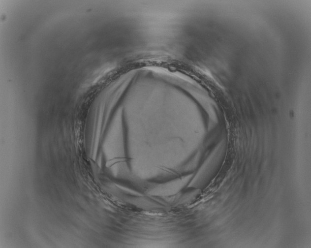 X0000088391399200706121158