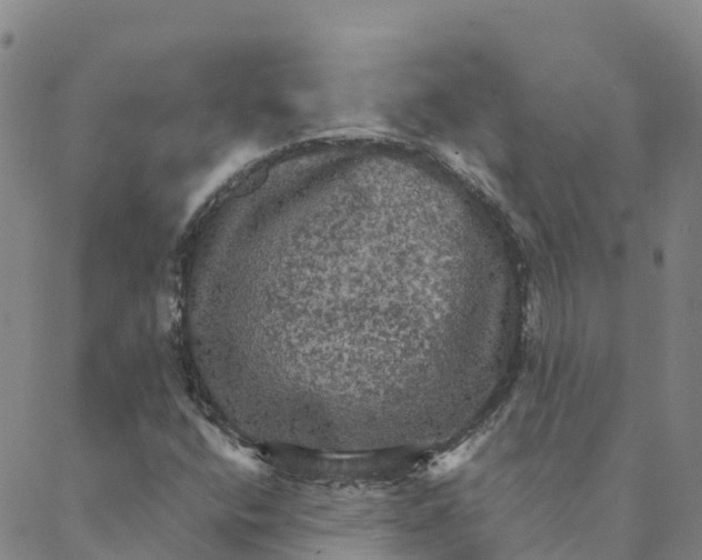 X0000088391400200706121158