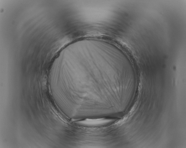 X0000088391401200706121158