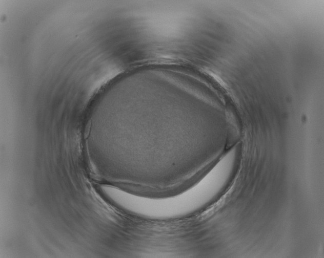 X0000088391402200706121158