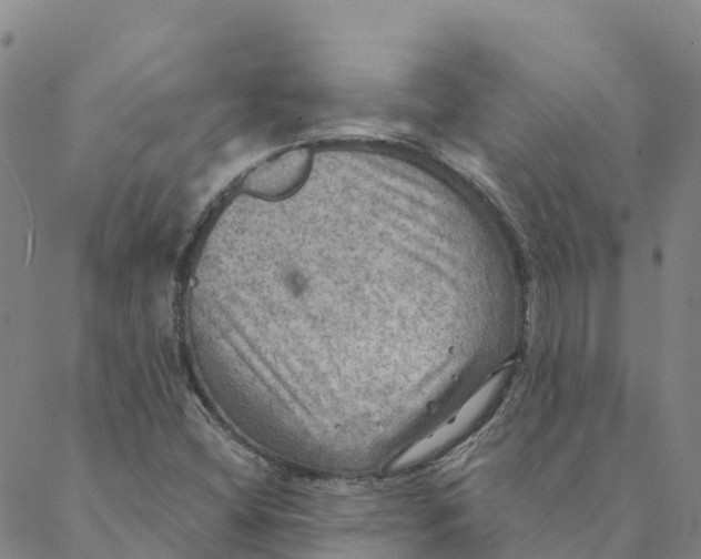 X0000088391404200706121158