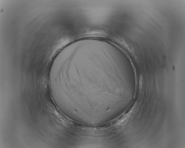 X0000088391405200706121158