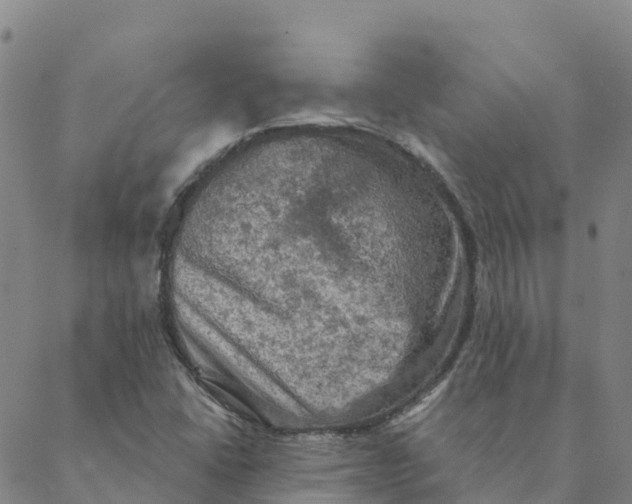 X0000088391406200706121158