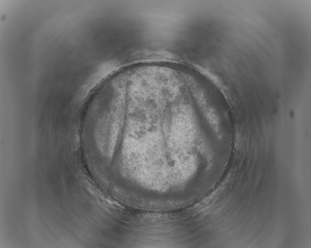 X0000088391407200706121158