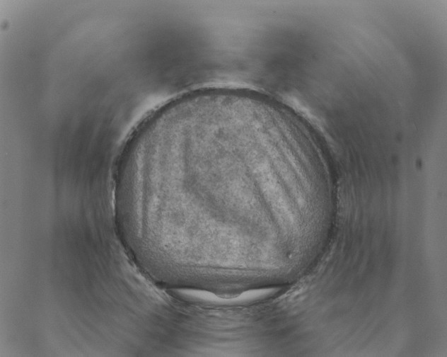 X0000088391408200706121158