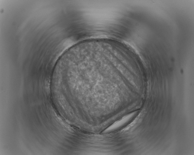 X0000088391409200706121158