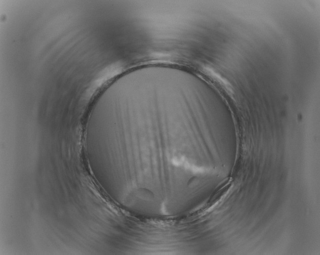 X0000088391411200706121158