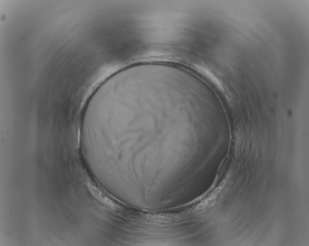 X0000088391413200706121158