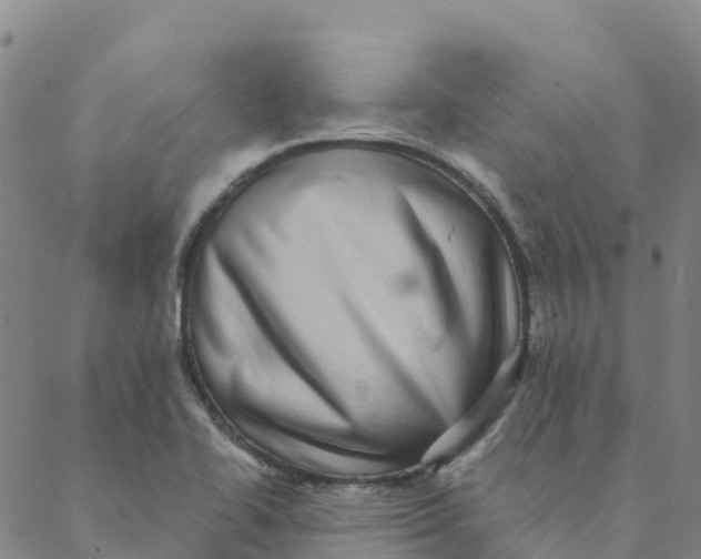 X0000088391414200706121158