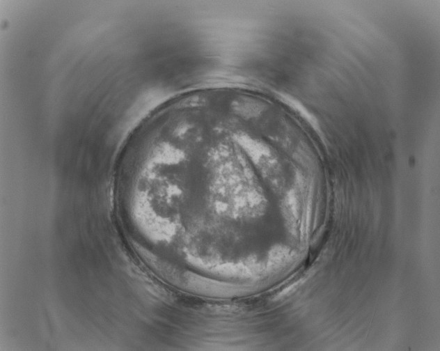 X0000088391415200706121158