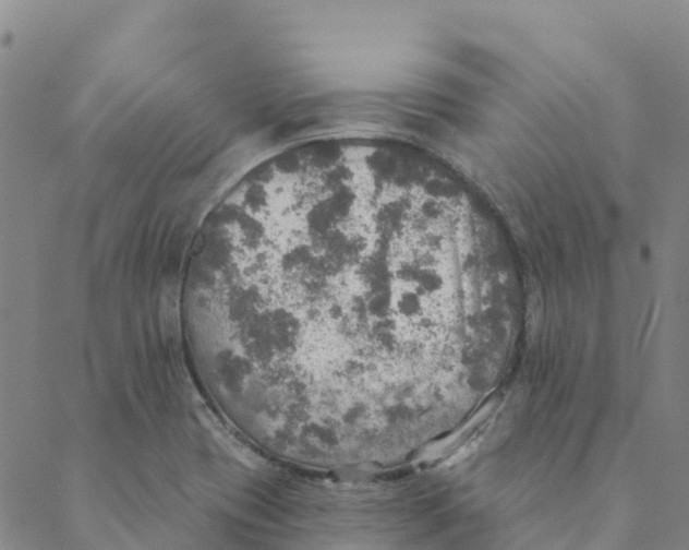 X0000088391417200706121158