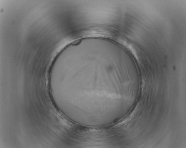 X0000088391419200706121158