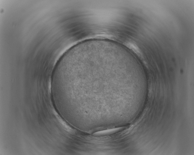 X0000088391420200706121159