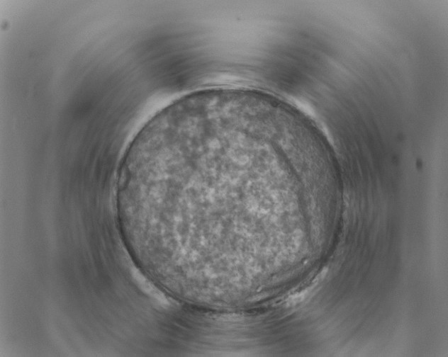 X0000088391421200706121159