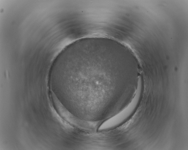 X0000088391422200706121159